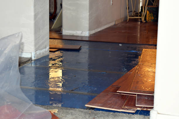 Professional Basement Flood Cleanup technician working in New London, NC